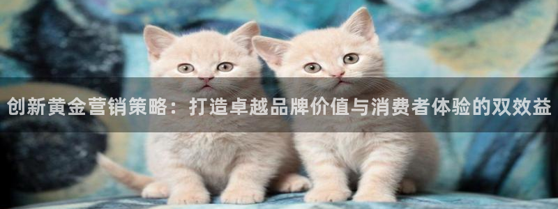 必赢3003网官