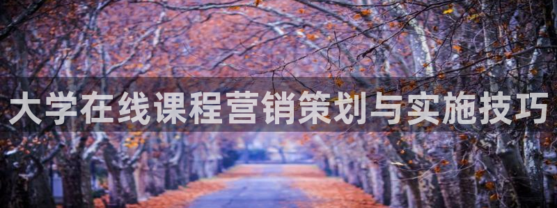 必赢官网网站入口