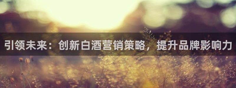 数三十游戏必赢技巧：引领未来：