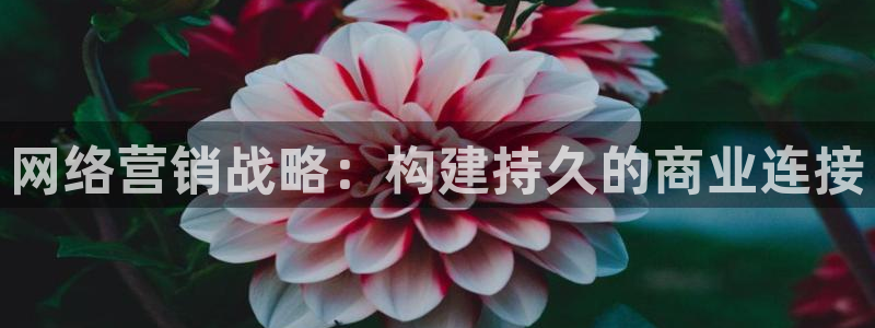 必赢国际游戏技巧：网络营销战略