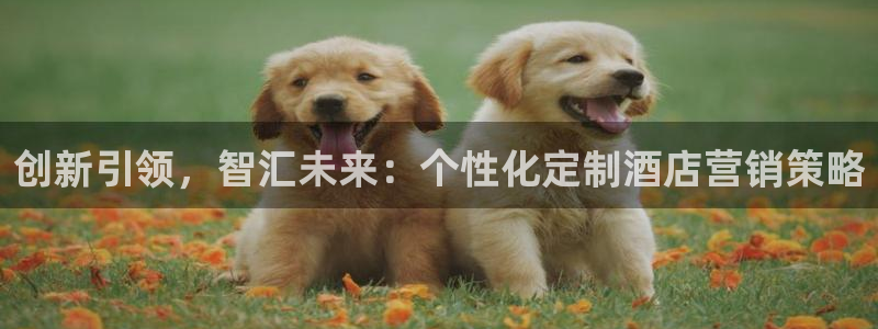 必赢下载安卓版官网