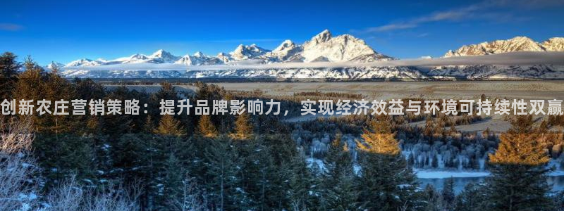 必赢3003必赢贵族宾会：创新