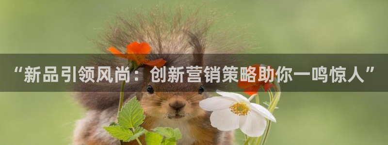 必赢72886后面字母是多少：