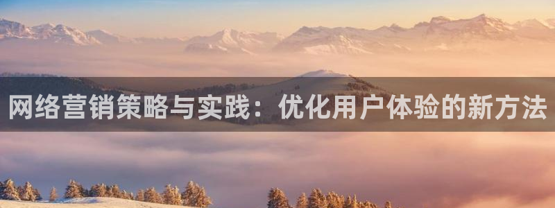 必赢app安卓版下载：网络营销