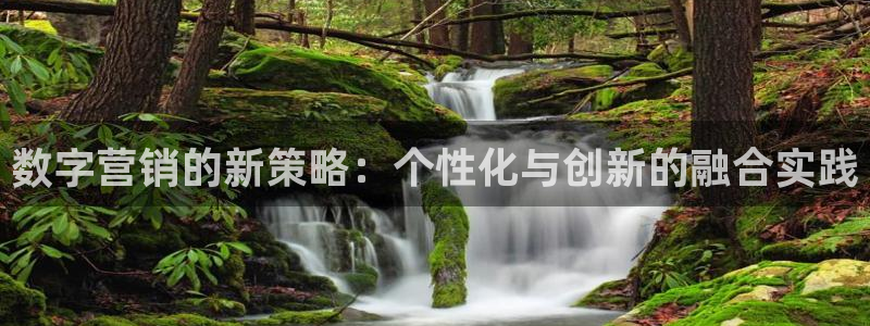 必赢72886网址多少啊：数字