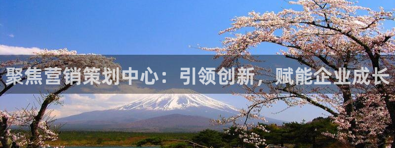 必赢客官方：聚焦营销策划中心：