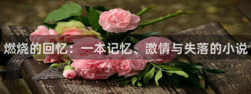 长生仙路txt奇书网：燃烧的回忆：一本记忆、激情与失落的小说