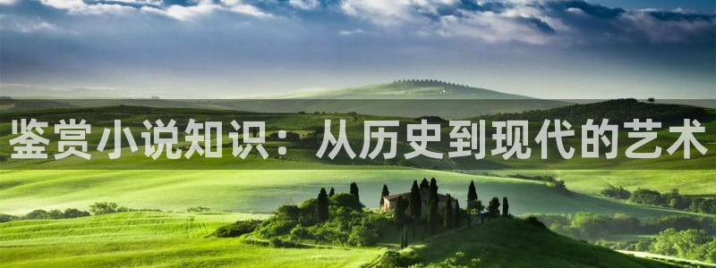 江山云罗txt奇书网：鉴赏小说知识：从历史到现代的艺术