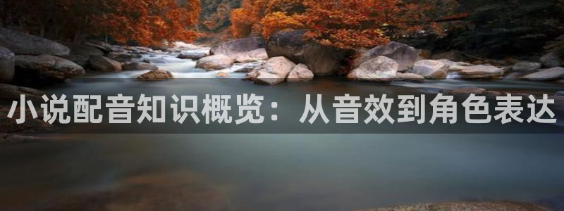 奇书网小说免费：小说配音知识概览：从音效到角色表达