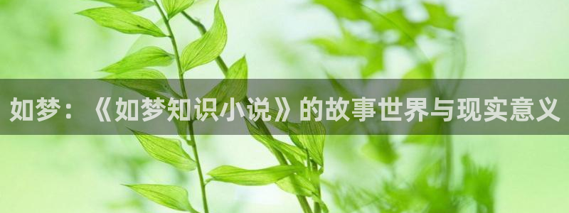 神话之后txt奇书网：如梦：《如梦知识小说》的故事世界与现实意义