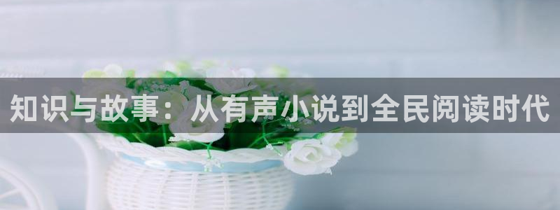 九龙乾坤诀txt奇书网：知识与故事：从有声小说到全民阅读时代